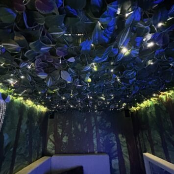 the roof of the mobile sensory unit with foliage across it and interweaved fibre optic lighting.